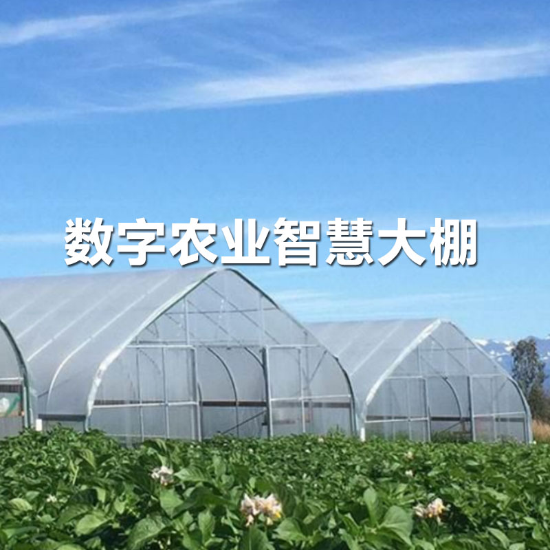 數字農業(yè)智慧大棚