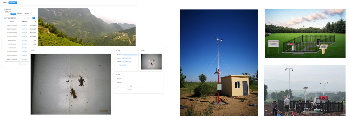 1732934493968647.png 茶園監(jiān)測.png