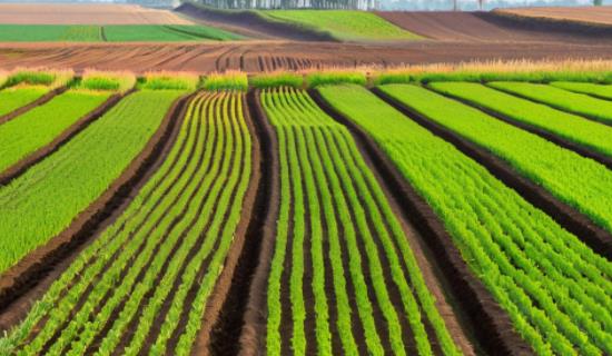 智慧農(nóng)業(yè)氣象監(jiān)測站 實時捕捉田間氣象要素動態(tài)變化