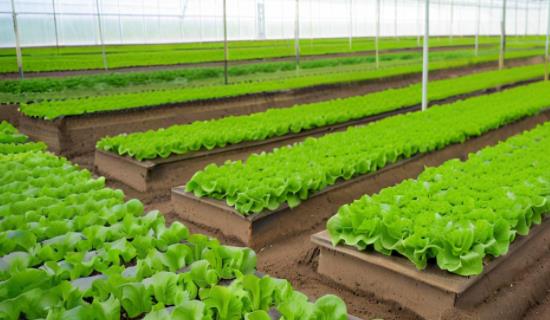 智慧農(nóng)業(yè)蟲情監(jiān)測系統(tǒng)設(shè)備儀器 為蟲害防治措施制定提供準(zhǔn)確詳細(xì)數(shù)據(jù)支持